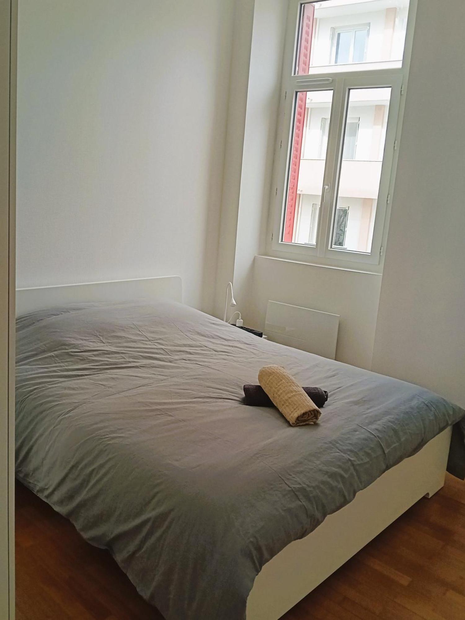 101 - Appart Renove Avec 1 Chambre Spacieuse - Tram Et Clinique Mutualiste A 1 Min Grenoble Bagian luar foto